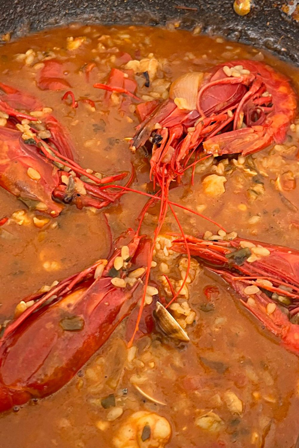 Uno de los deliciosos arroces del restaurante el Sopa en Conil de la Frontera